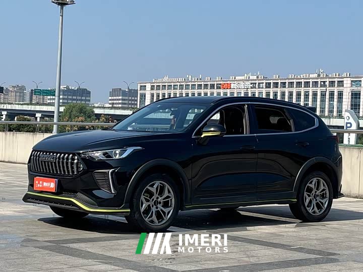 Haval Chitu Jinxiang Edition 1.5T Bronze Rabbit - ავტომობილი ჩინეთიდან