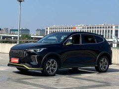 Haval Chitu Jinxiang Edition 1.5T Bronze Rabbit - ფოტო 1