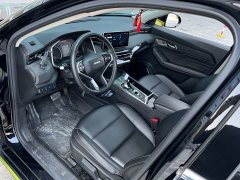 Haval Chitu Jinxiang Edition 1.5T Bronze Rabbit - ფოტო 12