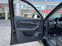 Haval Chitu Jinxiang Edition 1.5T Bronze Rabbit - ფოტო 13
