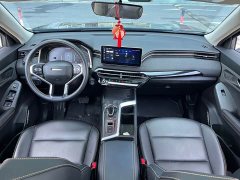 Haval Chitu Jinxiang Edition 1.5T Bronze Rabbit - ფოტო 15
