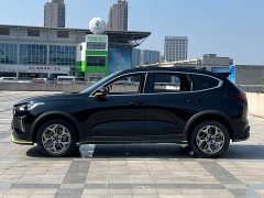 Haval Chitu Jinxiang Edition 1.5T Bronze Rabbit - ფოტო 3