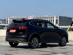 Haval Chitu Jinxiang Edition 1.5T Bronze Rabbit - ფოტო 4