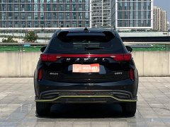 Haval Chitu Jinxiang Edition 1.5T Bronze Rabbit - ფოტო 5