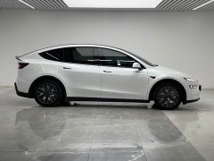 Tesla Model Y L Long Range All-Wheel Drive - ფოტო 8