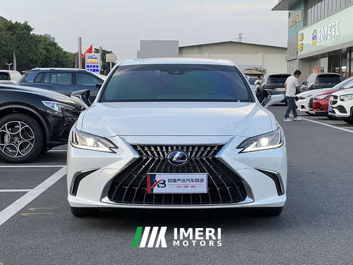 Lexus ES 300h Excellence - ავტომობილი ჩინეთიდან