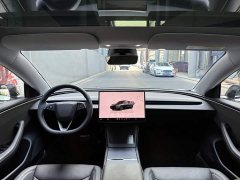 Tesla Model 3 2023 Rear-Wheel Drive - ფოტო 11