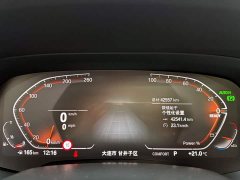 BMW X5 xDrive 30Li Luxury M Sport Package - ფოტო 13
