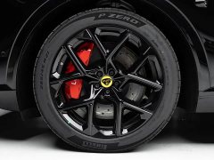 Lotus For Me - ფოტო 16
