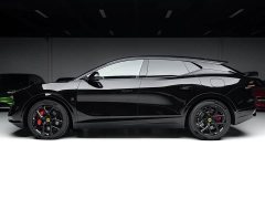 Lotus For Me - ფოტო 17