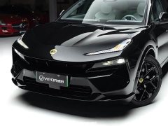 Lotus For Me - ფოტო 18