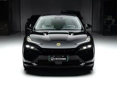 Lotus For Me - ფოტო 2
