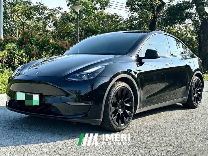 Tesla Model Y Standard Range RWD - ავტომობილი ჩინეთიდან