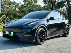 Tesla Model Y Standard Range RWD - ფოტო 1
