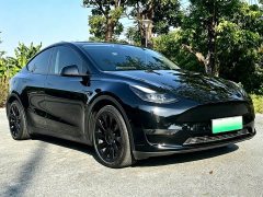 Tesla Model Y Standard Range RWD - ფოტო 3