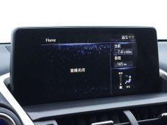 Lexus NX 2020 300h FWD Pinnacle Edition National VI - ფოტო 18