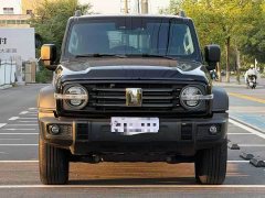 Tank 300 2025 2.0T Gasoline Conqueror - ფოტო 8