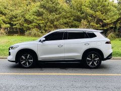 BYD Song Pro New Energy 2024 DM-i 110KM Glory Edition Exceed - ფოტო 14