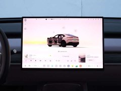 Nio Lerado L60 60kWh Rear-Wheel Drive - ფოტო 11