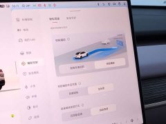 Nio Lerado L60 60kWh Rear-Wheel Drive - ფოტო 16