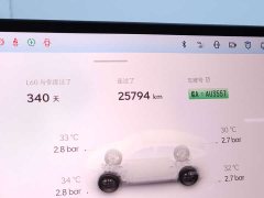 Nio Lerado L60 60kWh Rear-Wheel Drive - ფოტო 20