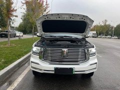 Tank 500 New Energy 2023 Hi4-T - ფოტო 17