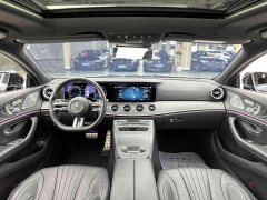Mercedes-Benz CLS 300 Luxury - ფოტო 5