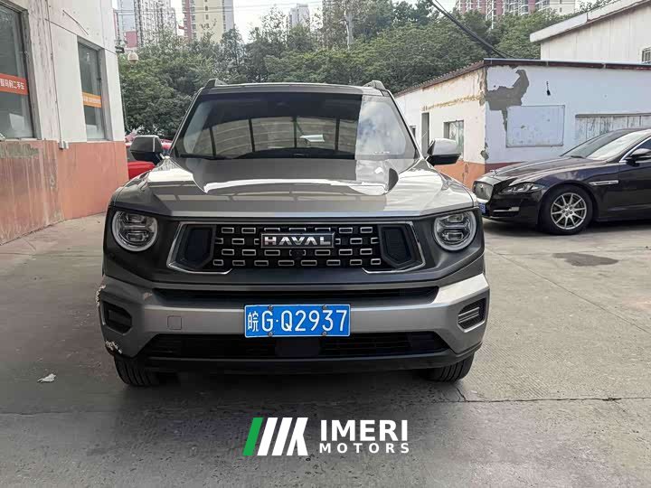 Haval Big Dog PLUS 2.0T Two-Wheel Drive Trendy Wilderness Edition - ავტომობილი ჩინეთიდან