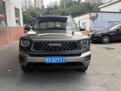 Haval Big Dog PLUS 2.0T Two-Wheel Drive Trendy Wilderness Edition - ფოტო 1