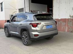 Haval Big Dog PLUS 2.0T Two-Wheel Drive Trendy Wilderness Edition - ფოტო 15
