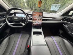 Geely Xingrui Gasoline-Hybrid 1.5TD Xinghe Edition - ფოტო 10