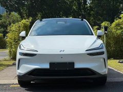 Nio Lerado L60 2024 60kWh Rear-Wheel Drive - ფოტო 2