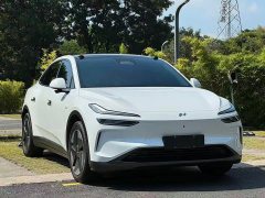 Nio Lerado L60 2024 60kWh Rear-Wheel Drive - ფოტო 5