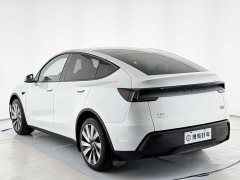 Tesla Model Y Rear-Wheel Drive - ფოტო 12