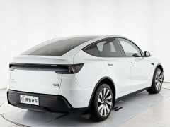 Tesla Model Y Rear-Wheel Drive - ფოტო 13