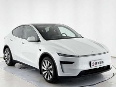 Tesla Model Y Rear-Wheel Drive - ფოტო 16