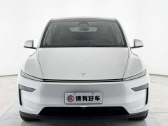 Tesla Model Y Rear-Wheel Drive - ფოტო 3