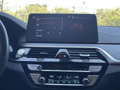 BMW 5 Series Facelift 530Li Premier M Sport Package - ფოტო 11
