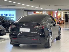 Tesla Model Y Rear-Wheel Drive - ფოტო 15