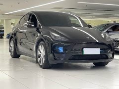 Tesla Model Y Rear-Wheel Drive - ფოტო 3