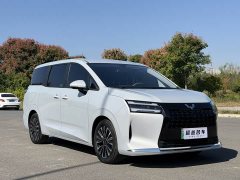 Wuling Starlight 730 New Energy PHEV 125km Luxury - ფოტო 3