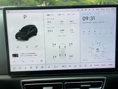 Li Auto L8 Pro - ფოტო 11