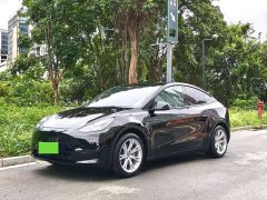 Tesla Model Y Rear-Wheel Drive - ფოტო 1