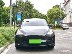 Tesla Model Y Rear-Wheel Drive - ფოტო 2
