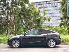 Tesla Model Y Rear-Wheel Drive - ფოტო 3