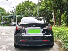 Tesla Model Y Rear-Wheel Drive - ფოტო 4