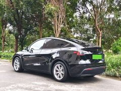 Tesla Model Y Rear-Wheel Drive - ფოტო 5