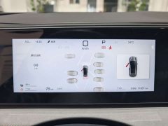 BYD Haima Sealion 06 DM-i 205 Pilot Plus - ფოტო 10