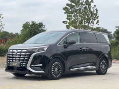 Denza BYD Denza D9 DM-i 1040 Premium - ფოტო 1