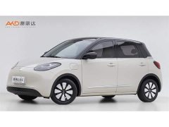 Wuling Binguo 333km Joy Edition - ფოტო 1